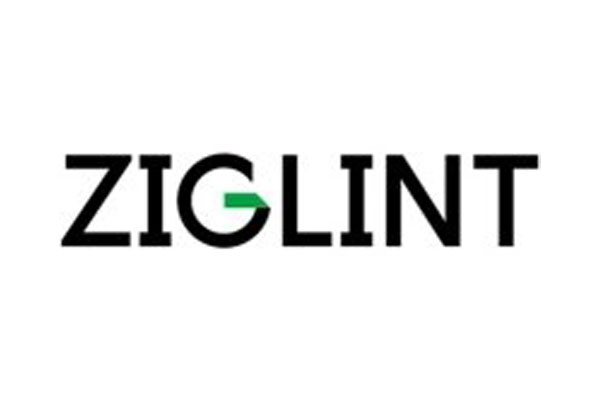Ziglint